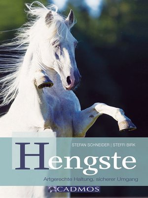 cover image of Hengste